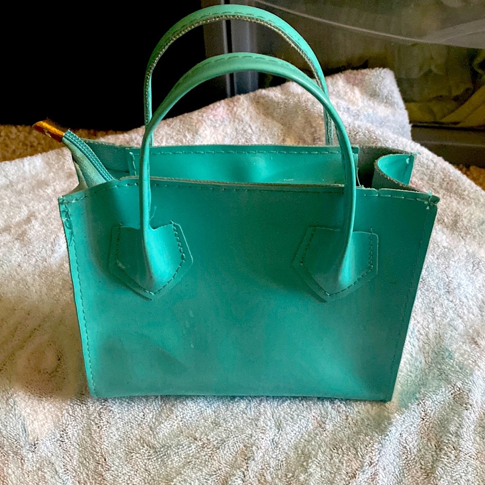 Cute little handbag that was used but still in good condition